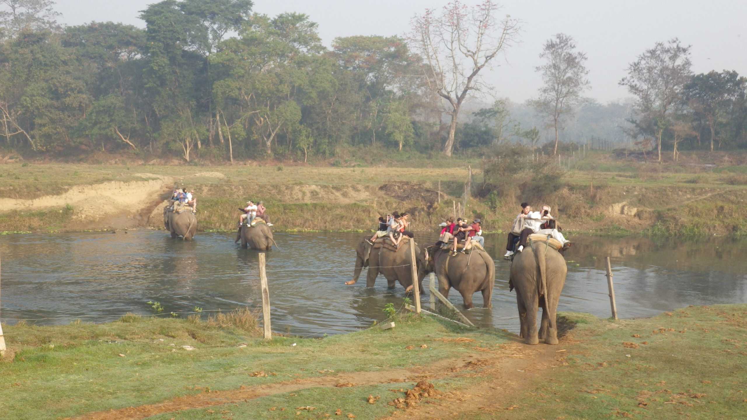 Elephants with riders cross a river on safari at Chitwan National Park in Nepal.
