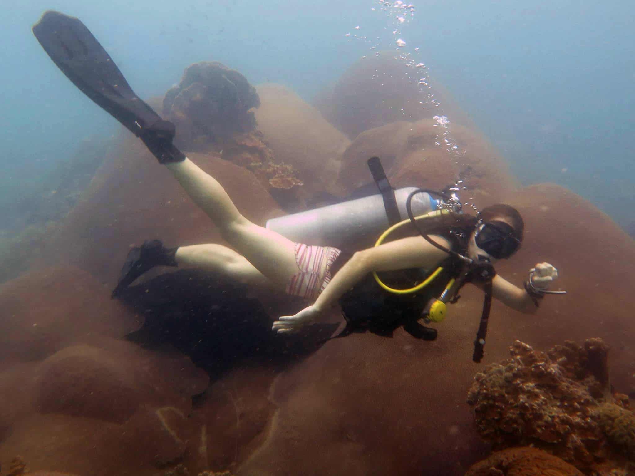 Diver swims by large boulder coral in Koh Tao, Thailand
