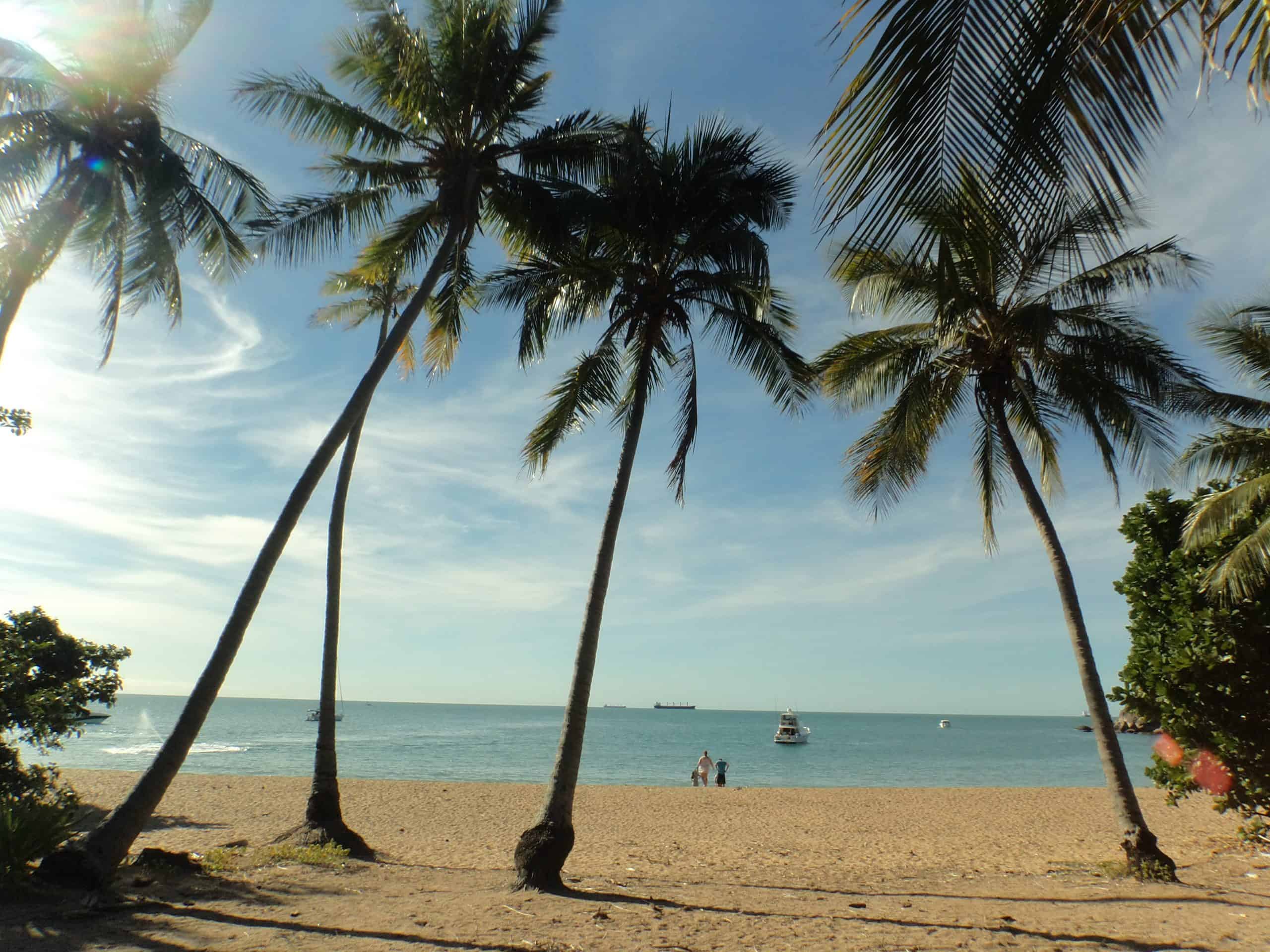 Palm trees crisscross in front of a beautiful beach and turquoise bay on Magnetic Island.