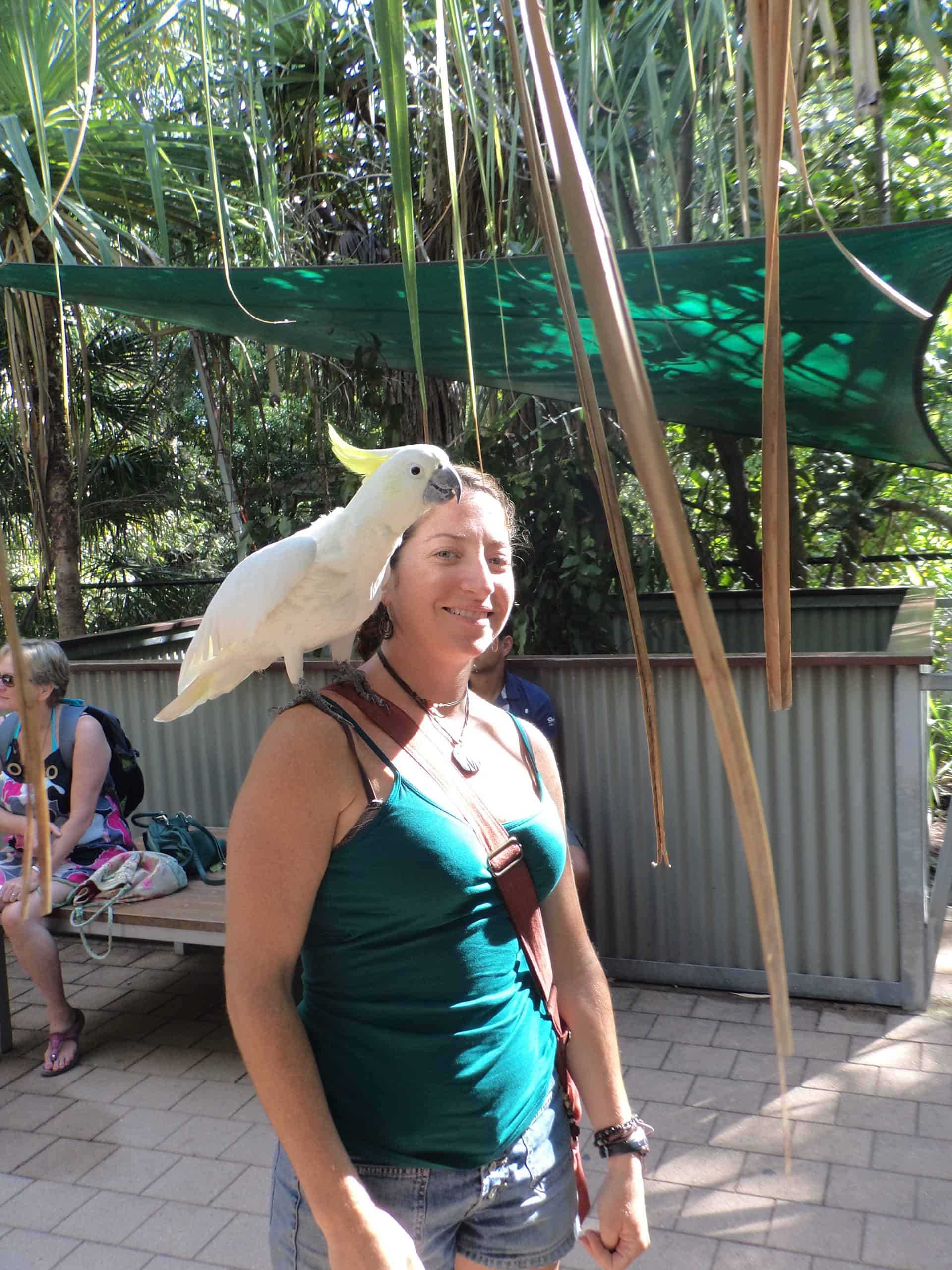 Woman poses with a large, white cockatiel on her shoulder on Magnetic Island.