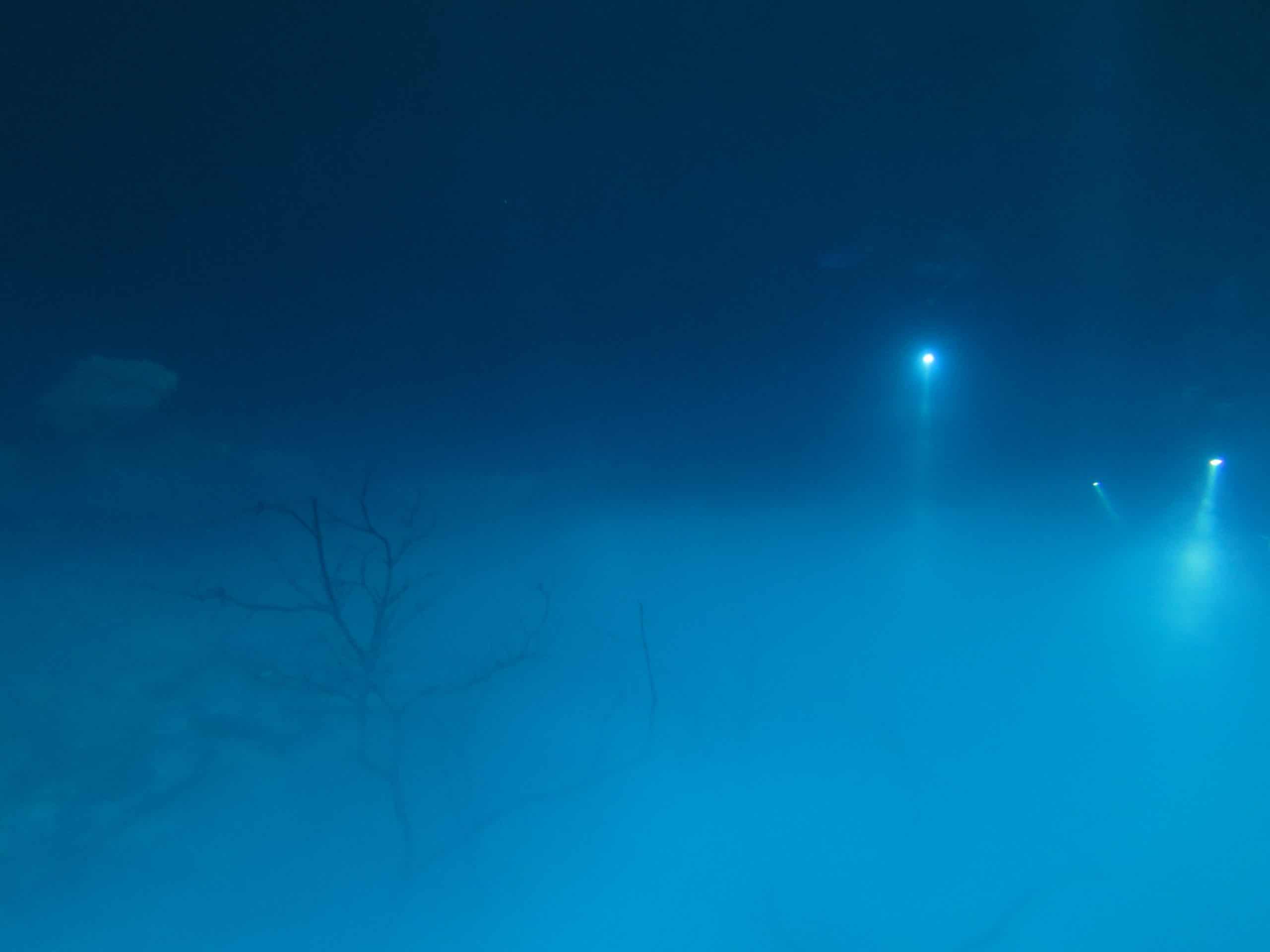 Scuba divers explore a mysterious hydrogen sulfide cloud 100-ft below the surface in one of Mexico's cenotes.