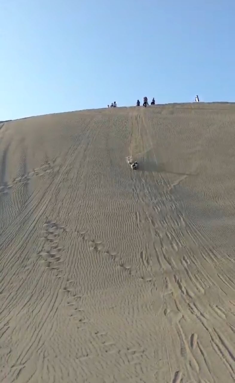 A woman sandboards down a desert dune on the Huacachina Oasis tour.