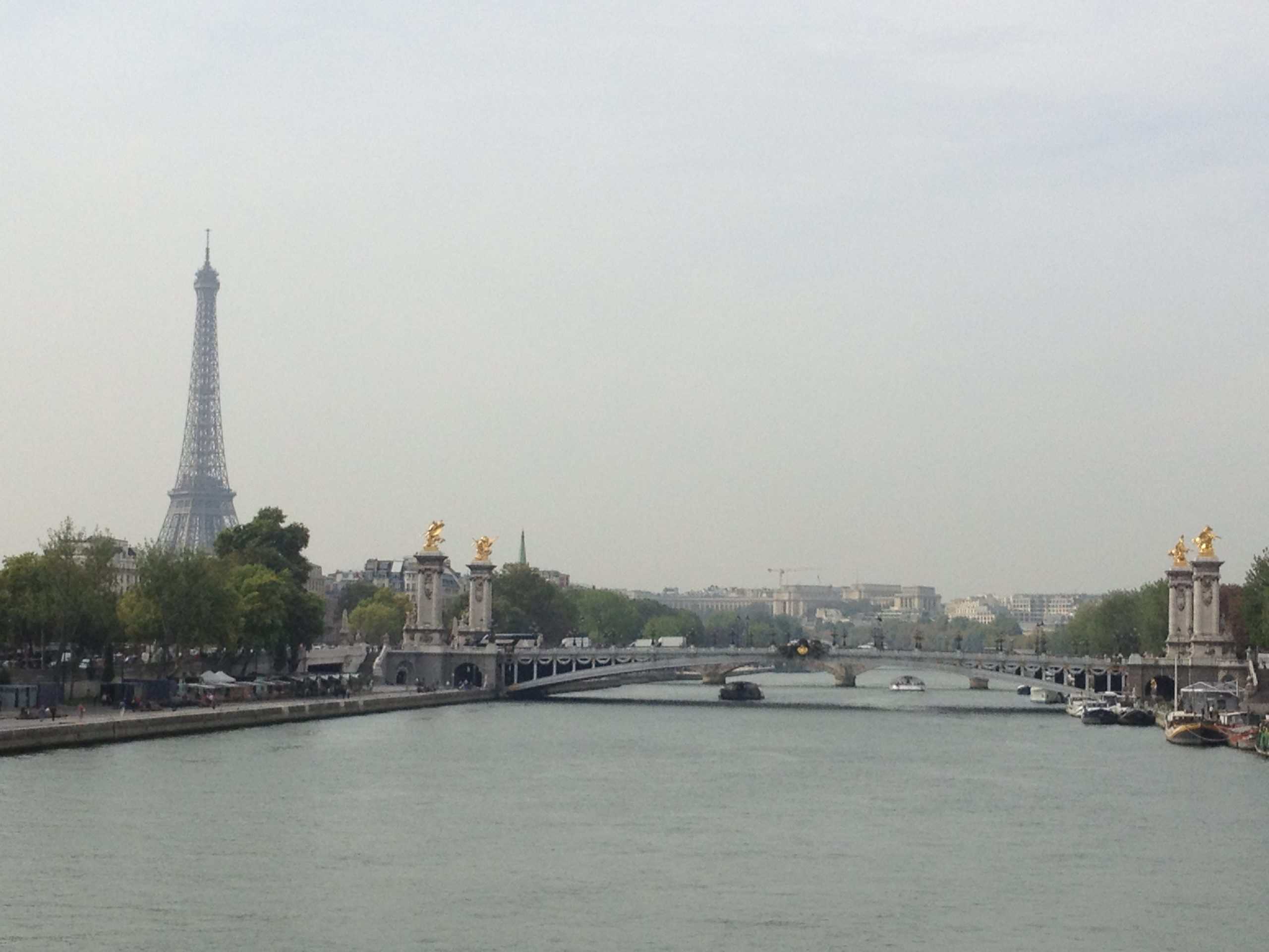 A view of the Eiffel Tower from across the Seine River.