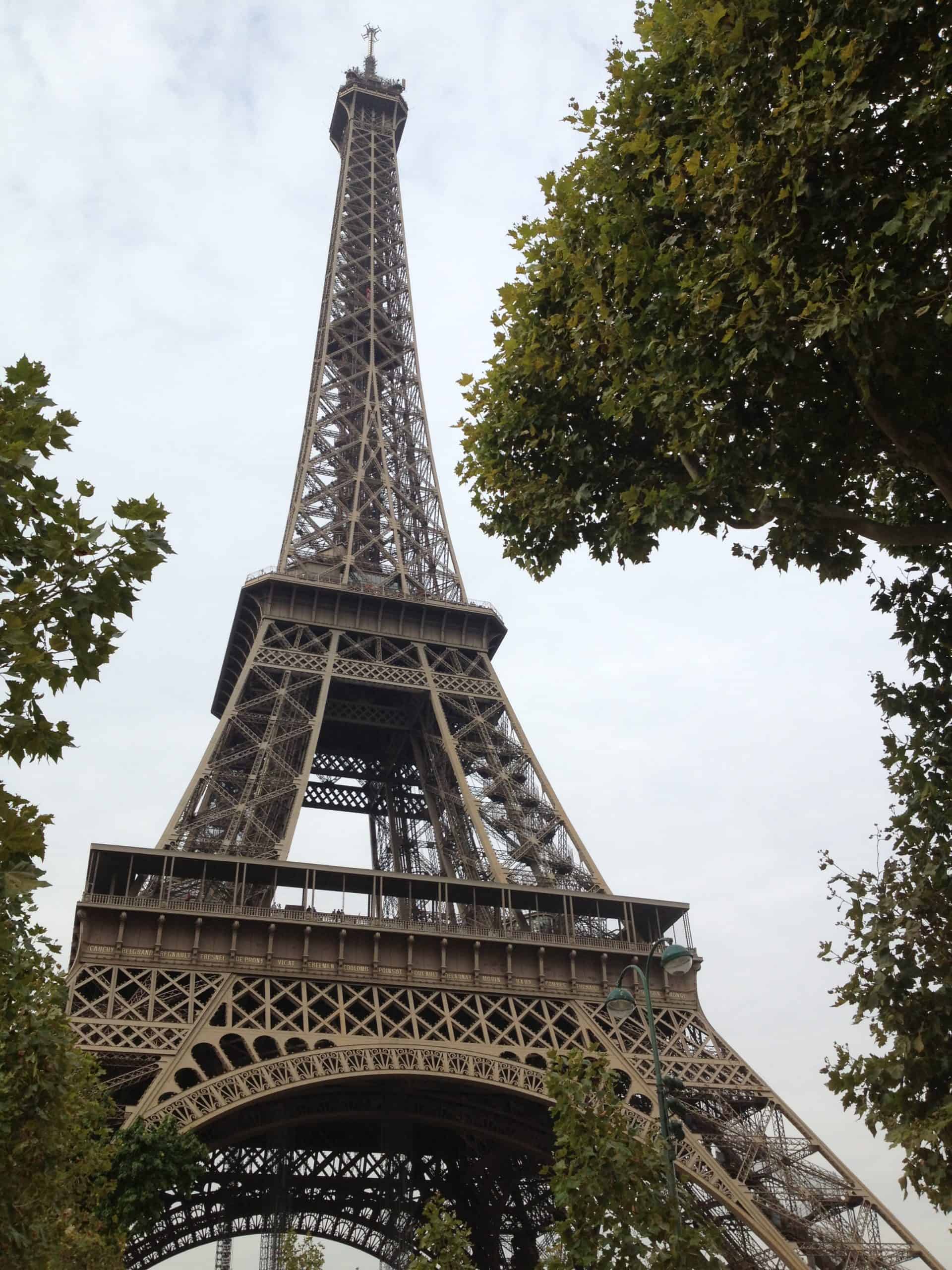 The Eiffel Tower from the gardens below.