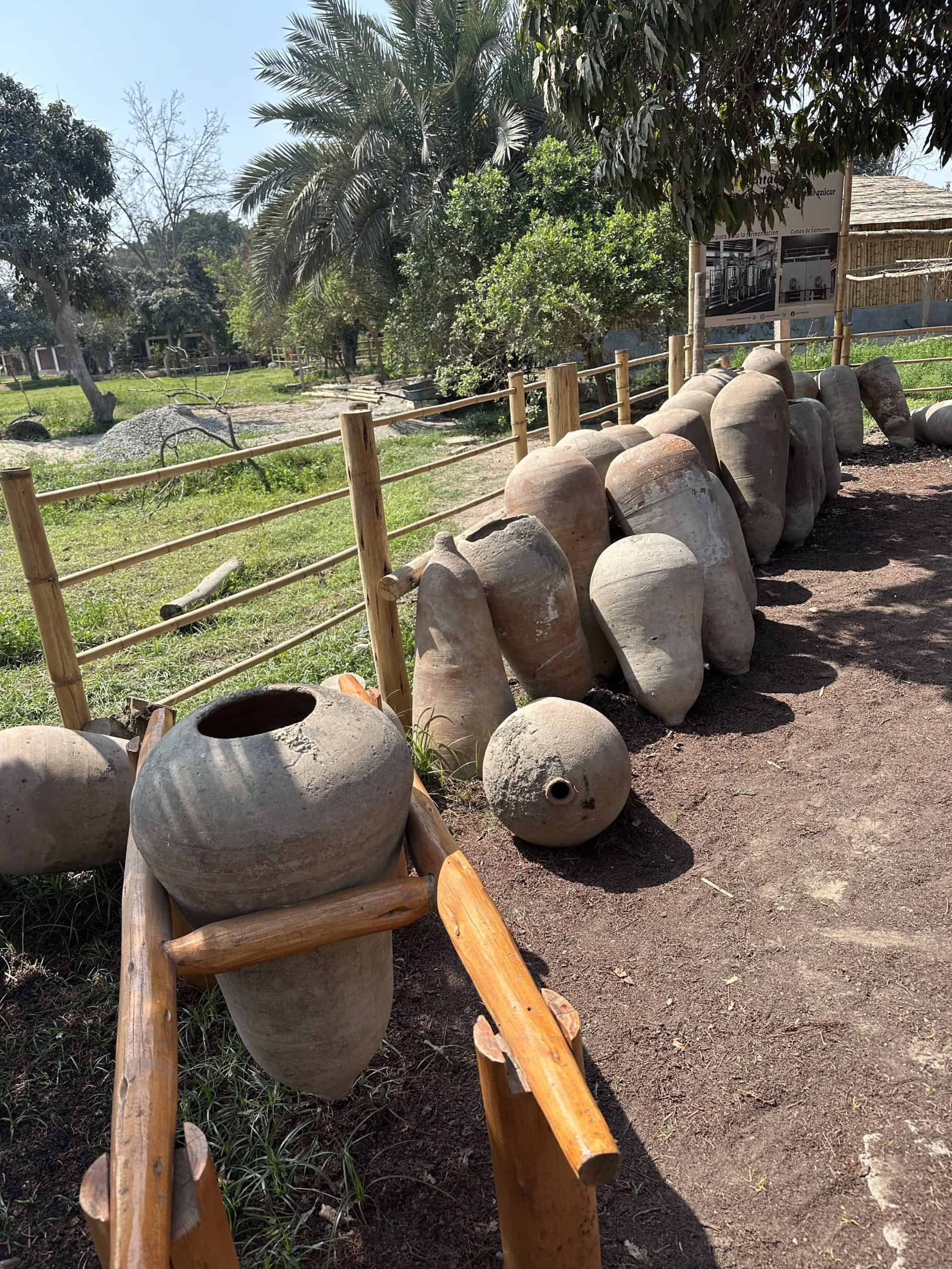 Amphorae used to store wine in Peru. 