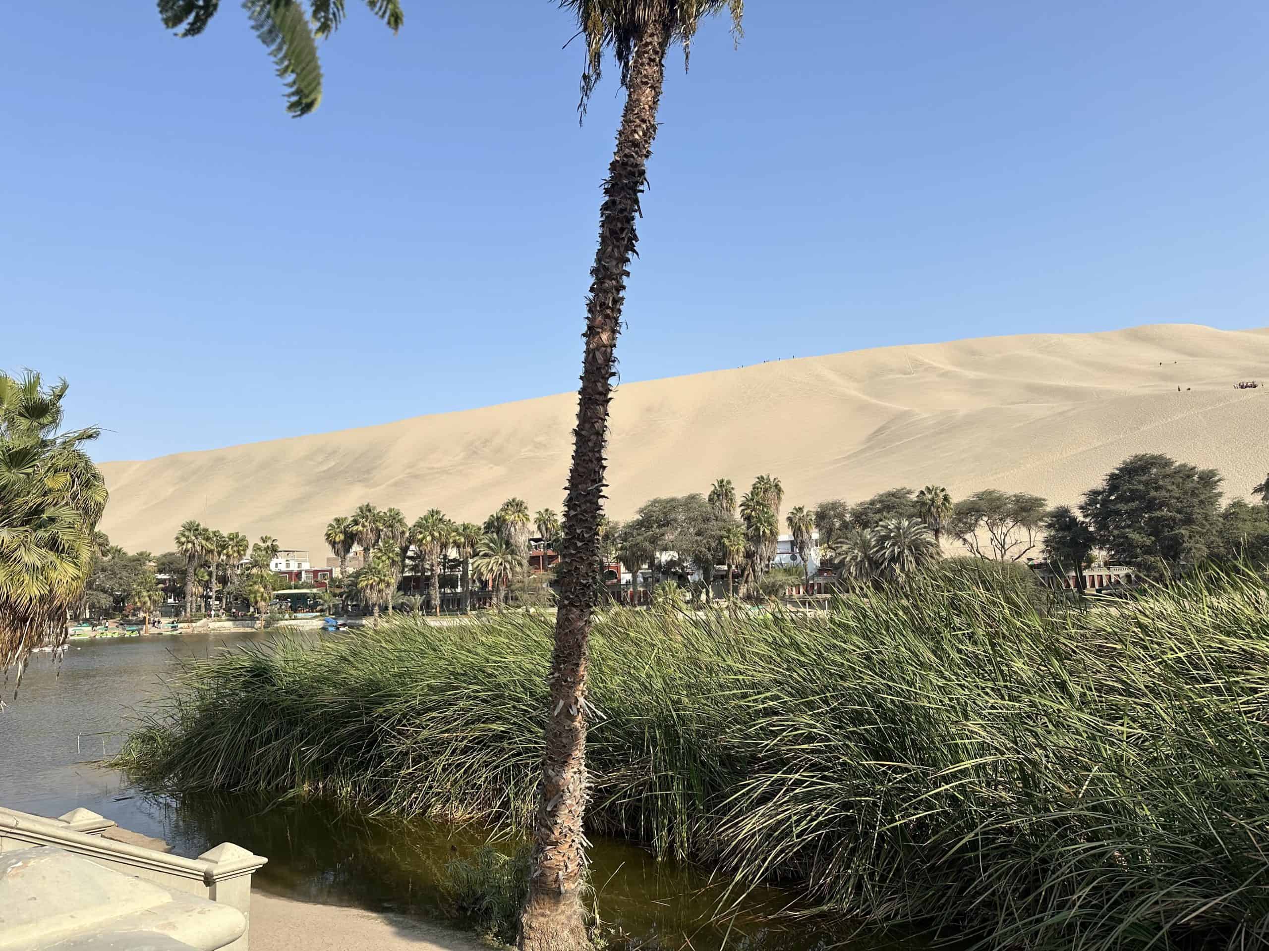 Desert dunes surrounding the lush Huacachina Oasis in Peru.
