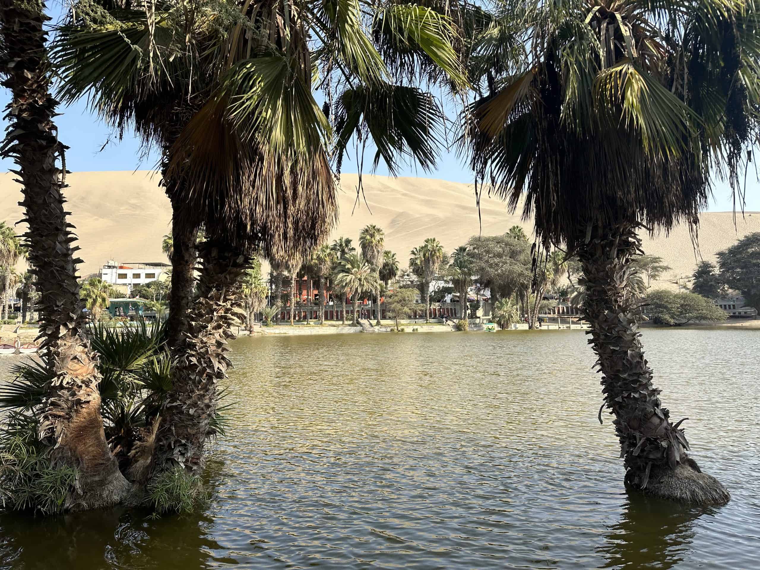 A view of the desert beyond the oasis at Huacachina.