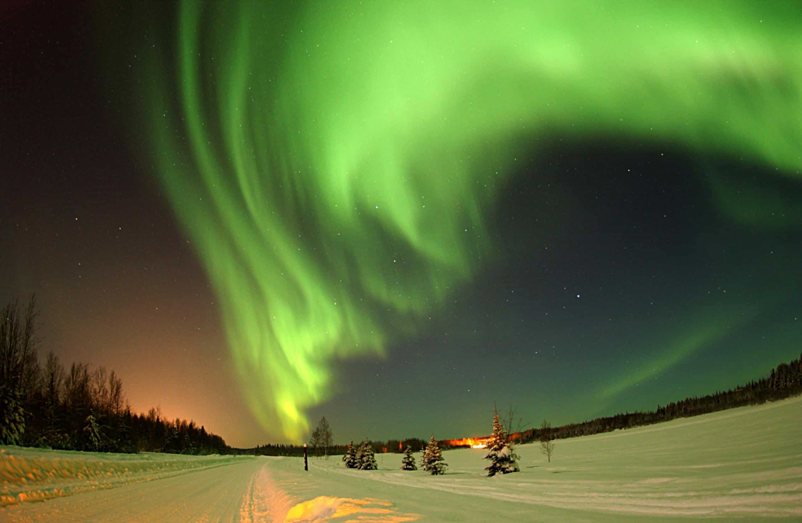 Vibrant green Northern Lights lighting up the snowy winter night sky in a remote wilderness.