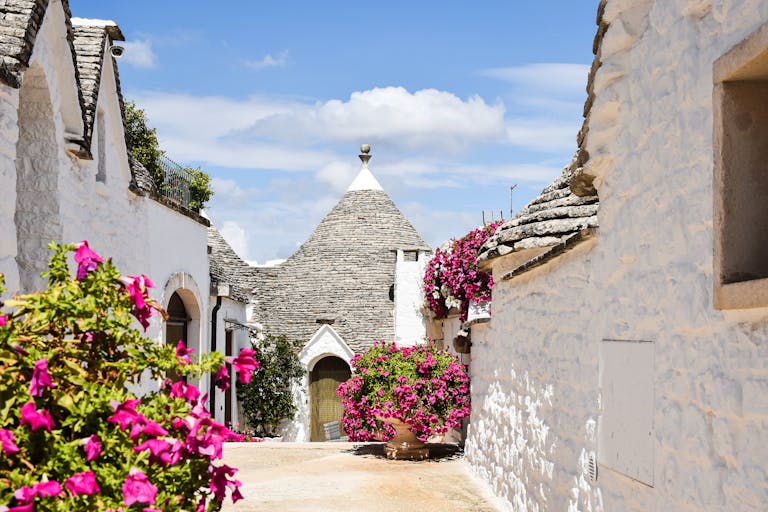 Charming trullo houses with vibrant flowers under a clear sky in Alberobello, Italy.