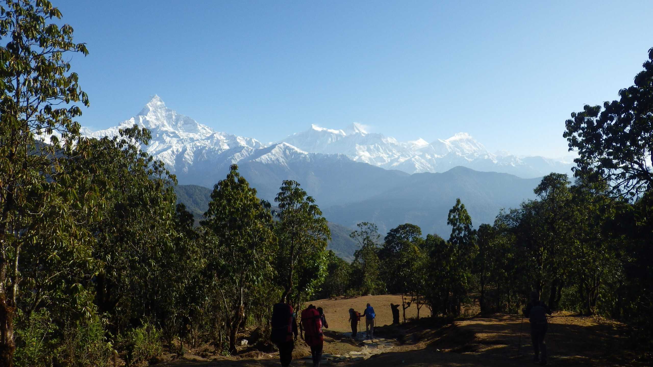 Hikers trekking towards the snowy Annapurna mountains in Nepal.
