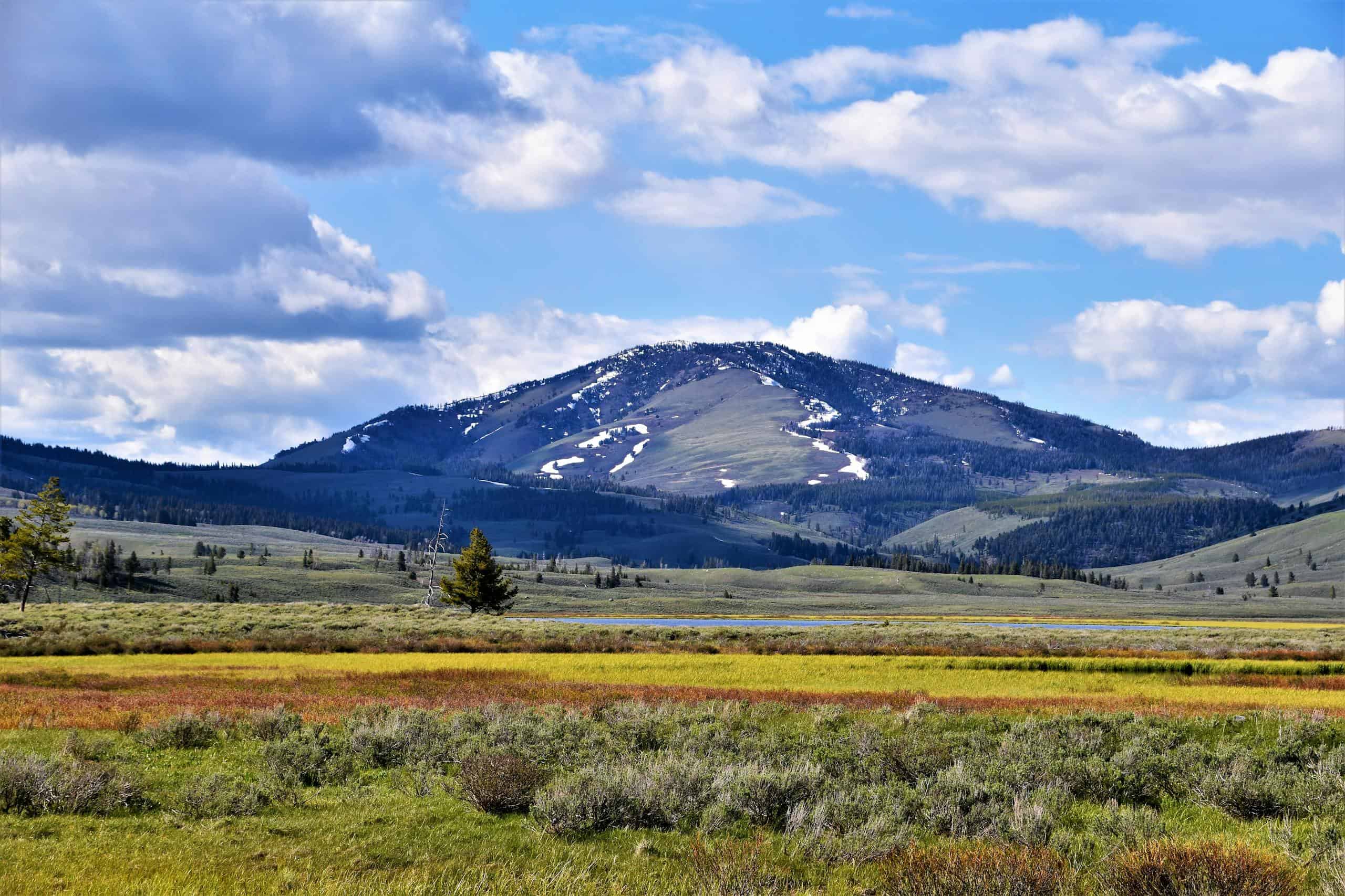 Explore the rolling hills and picturesque views of Gardiner, Montana with vibrant fields under a blue sky.