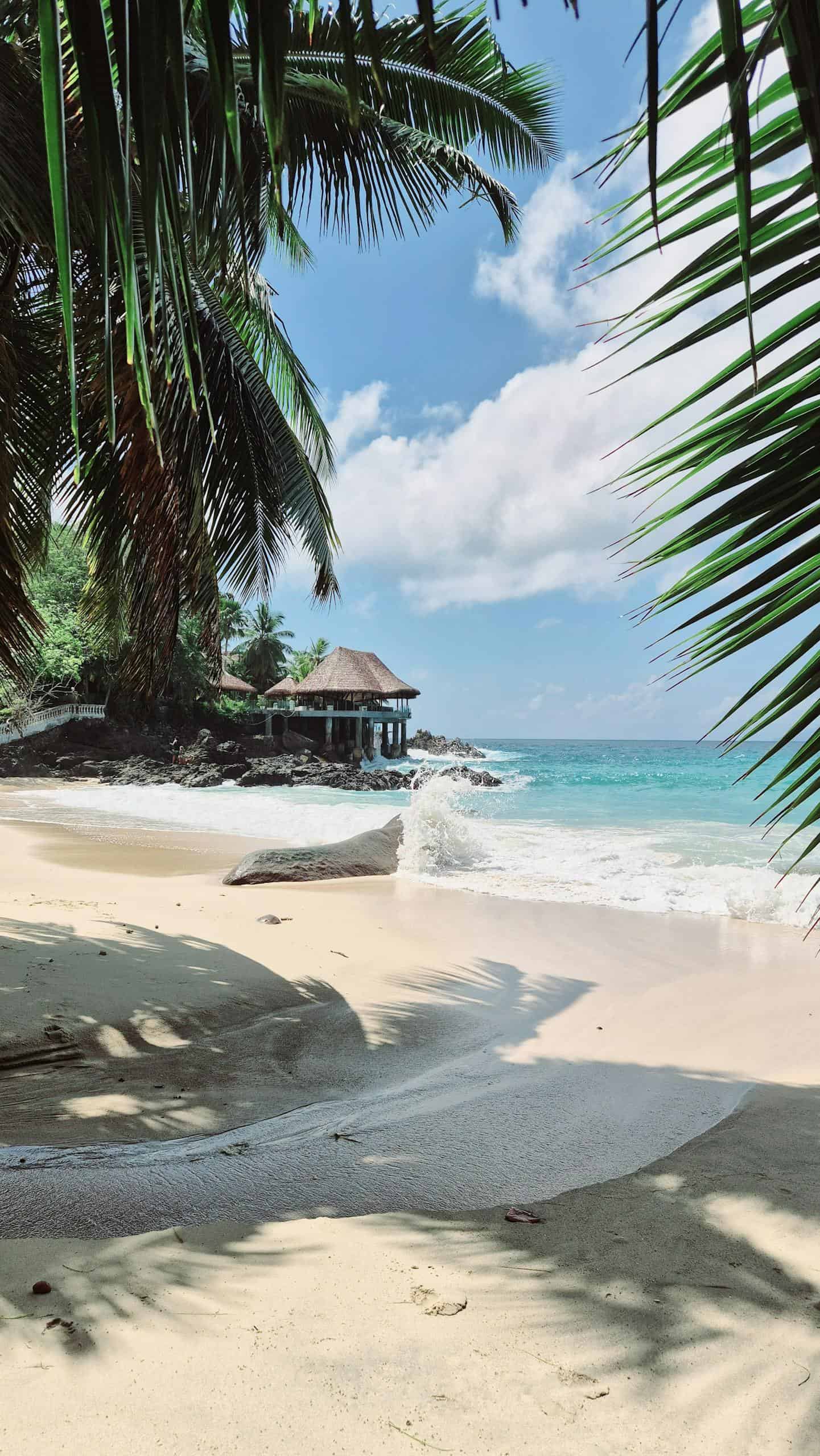 Idyllic tropical beach with palm trees and turquoise sea in Seychelles.