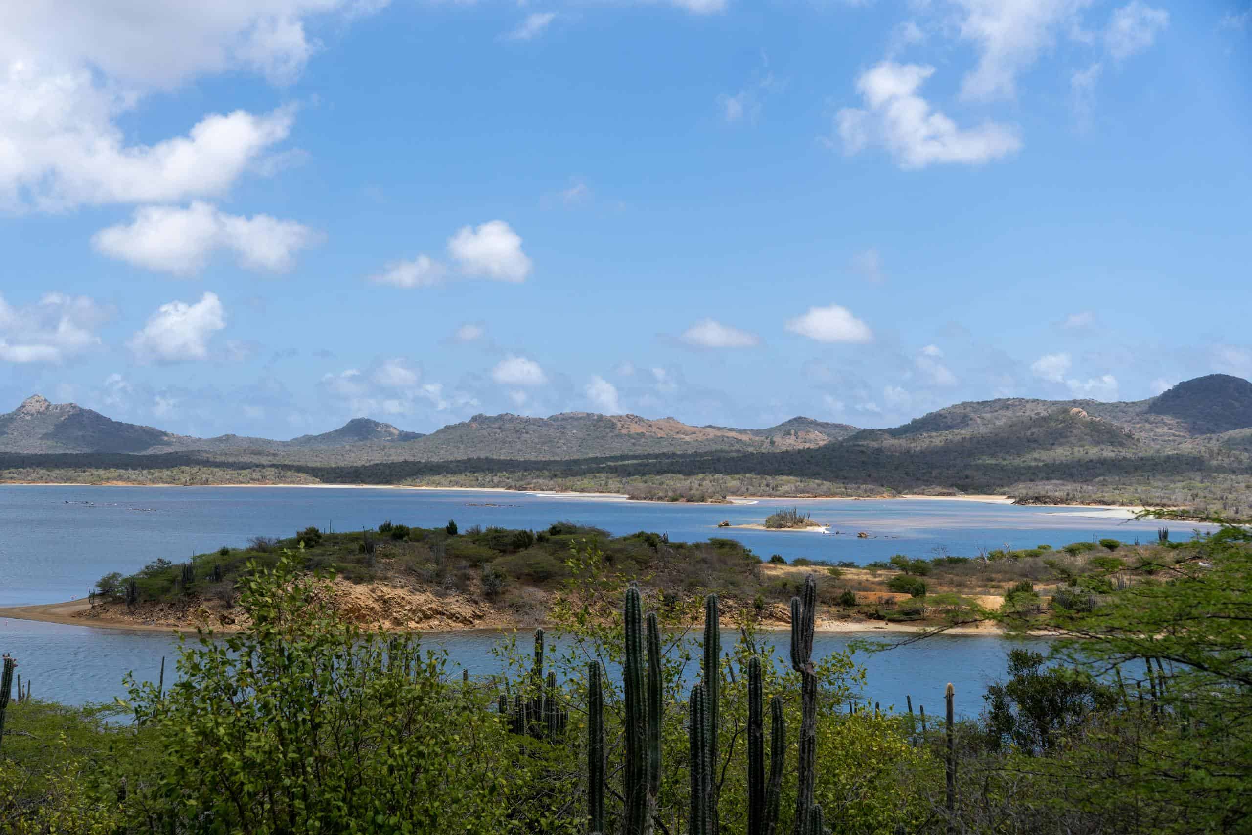 Serene landscape of Bonaire featuring azure waters, cacti, and distant mountains under a bright sky.