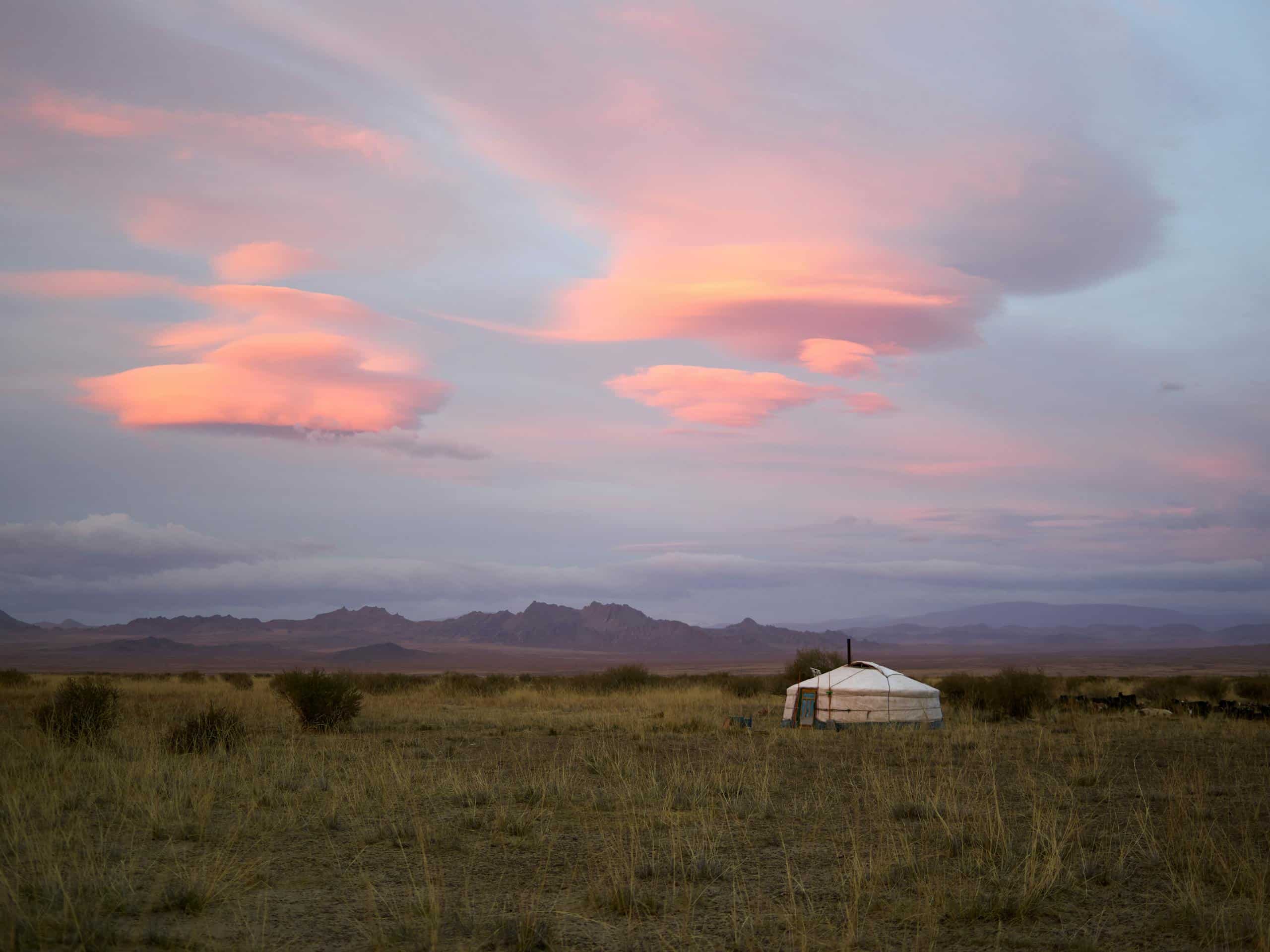 Serene Mongolian steppe scene with a yurt at sunset and pink clouds.