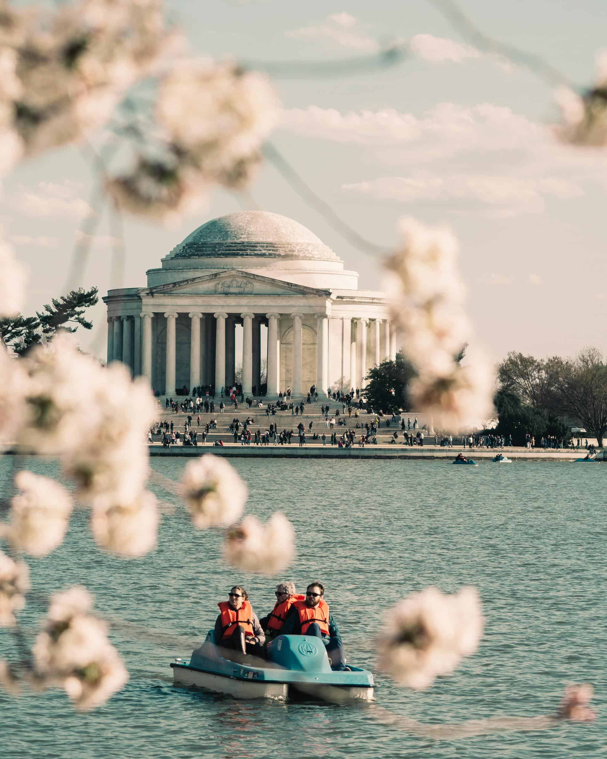 The Jefferson Memorial in Washington D.C. framed by cherry blossoms on a sunny spring day.