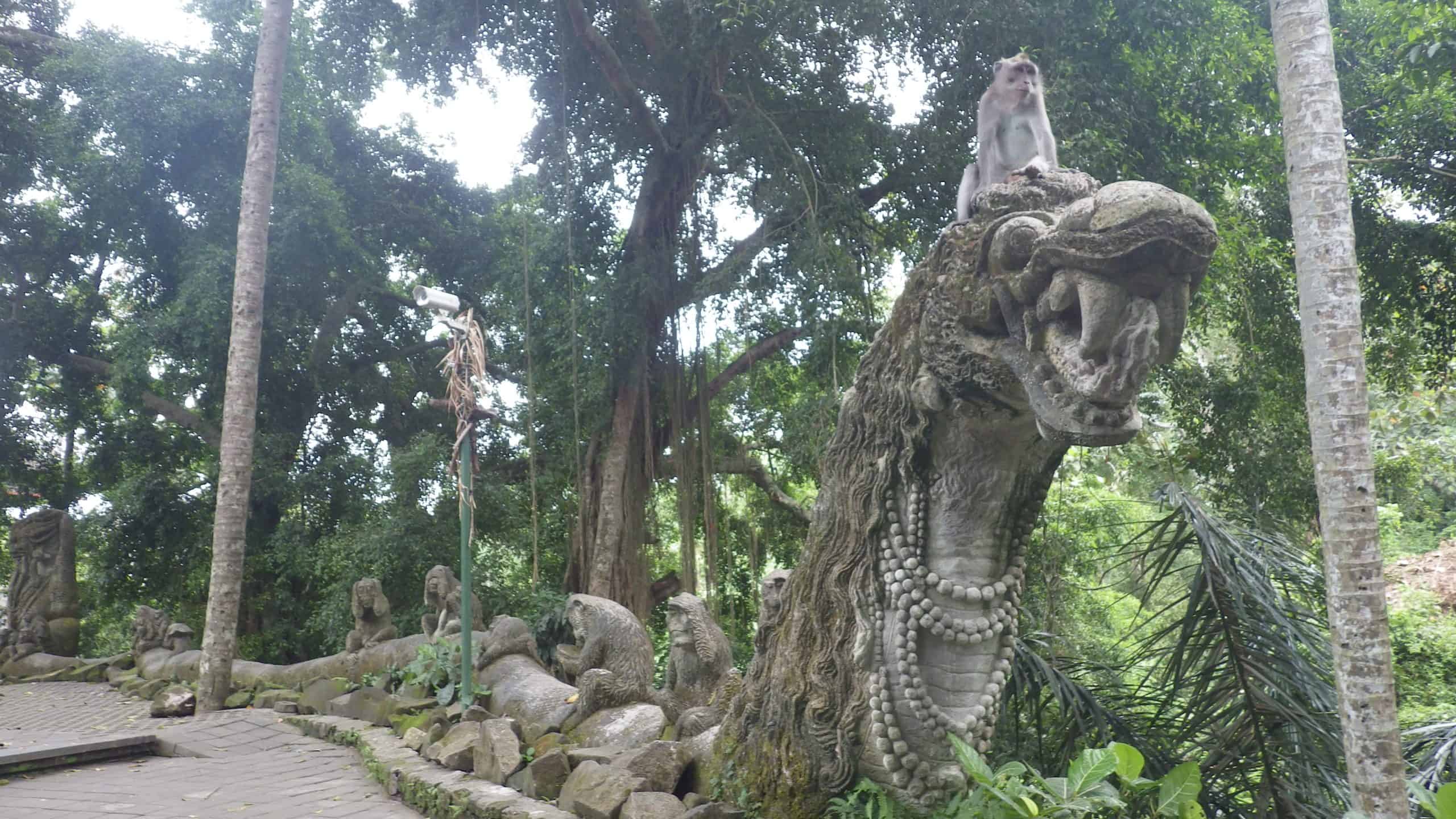 Sacred Monkey Forest in Ubud, Bali.