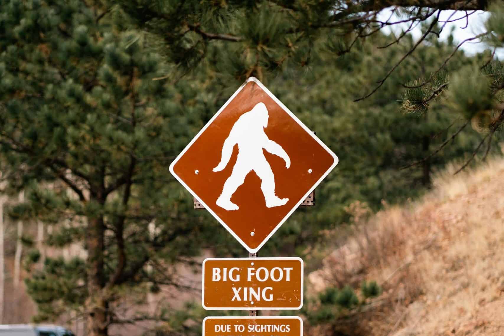 A humorous roadside Bigfoot crossing sign in a Colorado forest captures the spirit of adventure.