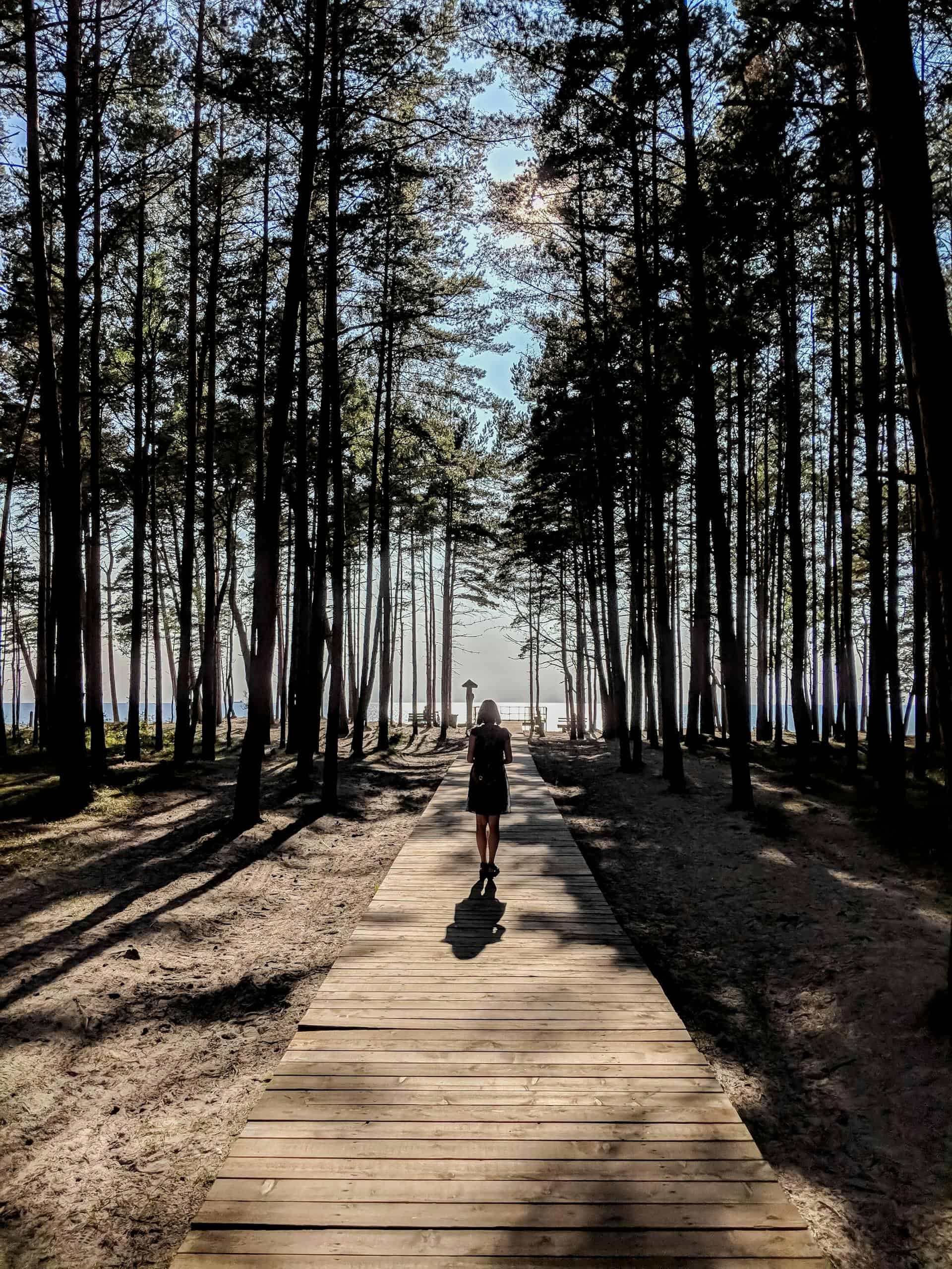 A serene path through a forest in Karklė, Lithuania leads to the sea under a clear sky.