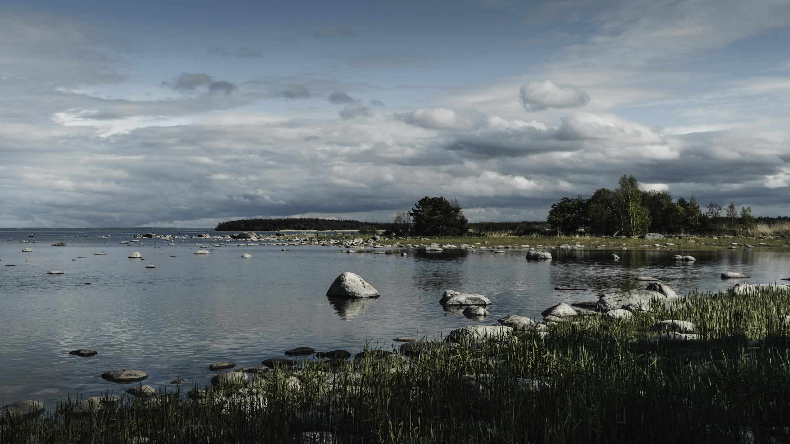Picturesque view of rocky shoreline at Lahemaa National Park in Estonia on a cloudy day.