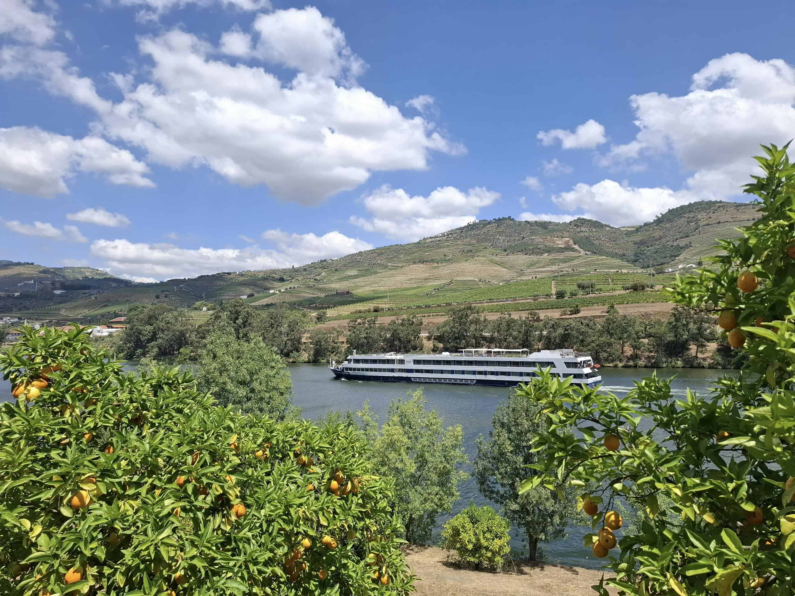 River cruise ship on Douro River framed by orange trees under a vibrant sky.