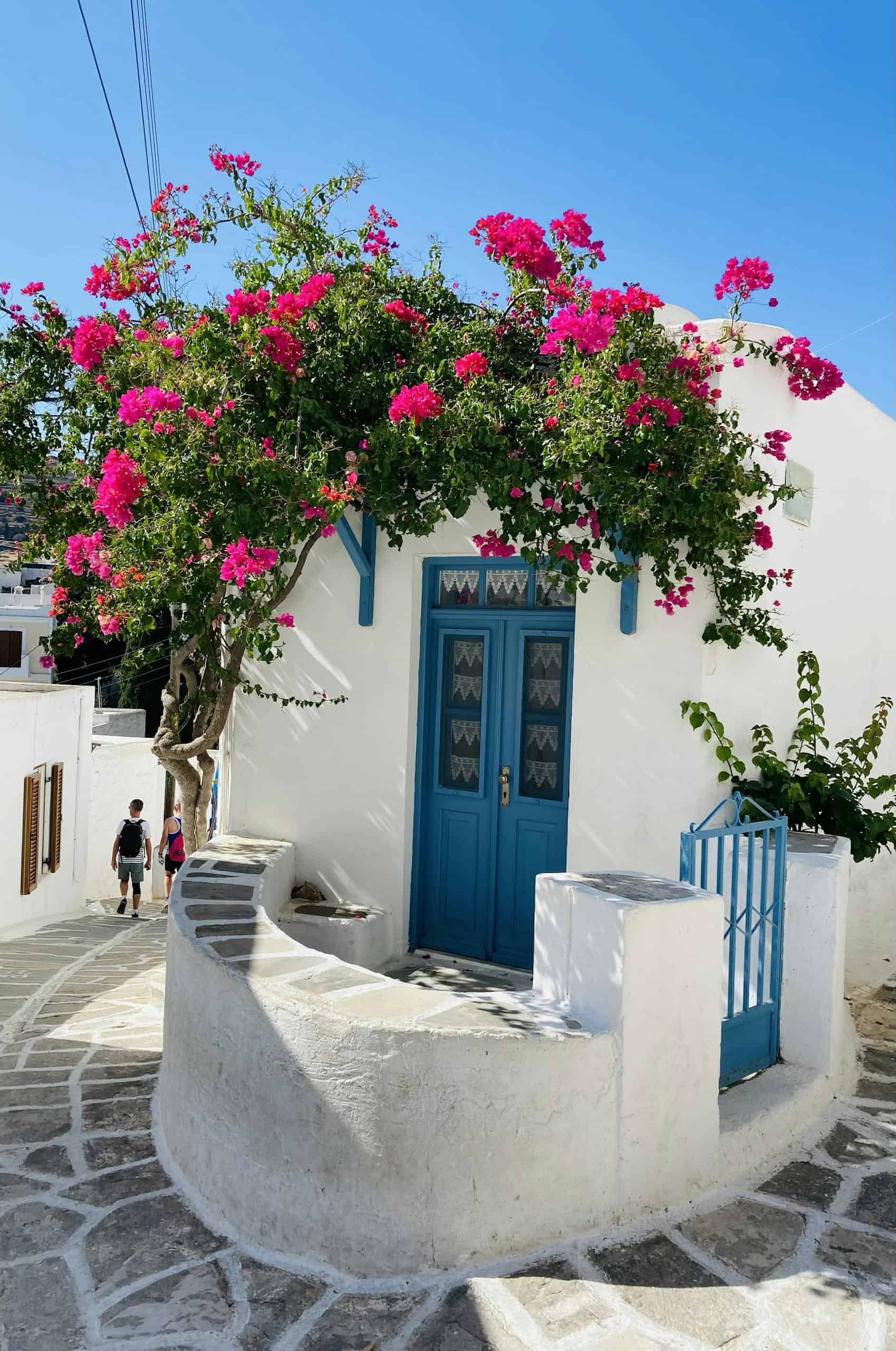 Scenic view of a Greek home with vibrant bougainvillea in Paros village.