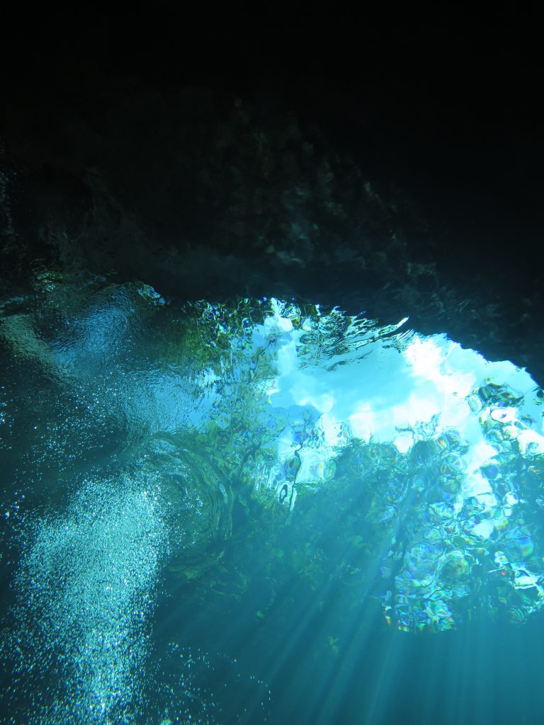 The Ultimate Guide to the Best Springs in Florida for Recreational Scuba Diving